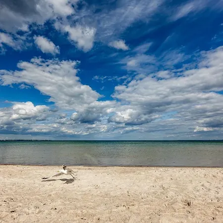 Apartman Black Pearl Penthouse Black Pearl *